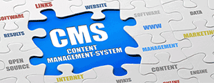 CMS Development Company in India